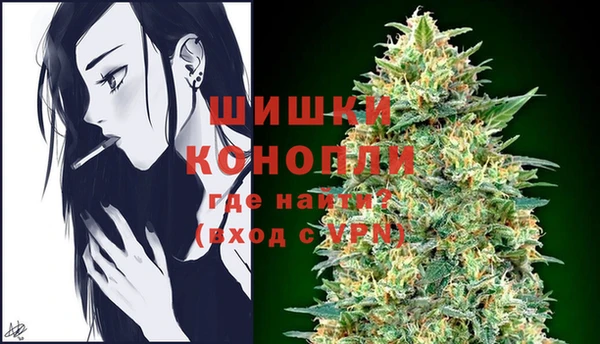 дмт Арсеньев