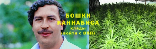 дмт Арсеньев